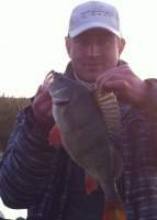 DainiusSpin avataras